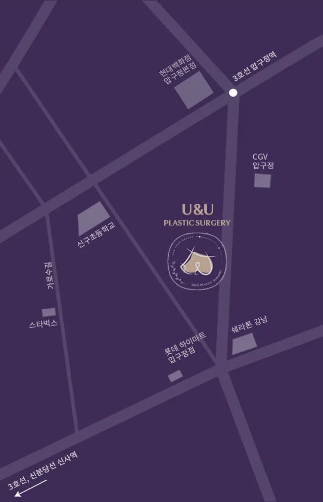 U&U美容外科クリニック位置地図 — ソウル江南区論峴路819 明光ビル