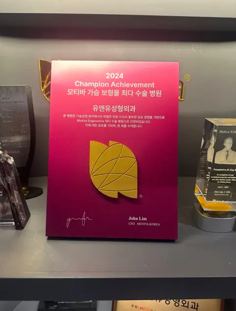 豊胸手術の価格は?昨年インプラント手術3023件を行った病院がお伝えします。 — 본문 이미지