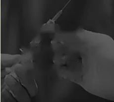 使い捨て用品の再使用禁止認証