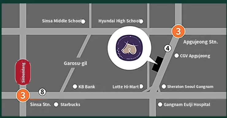 U&U美容外科クリニックの地図 — 狎鴎亭駅4番出口から徒歩5分、カロスキル近く
