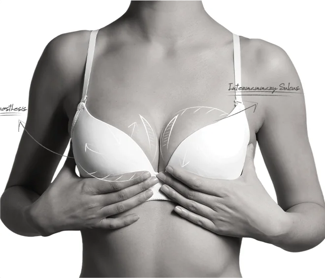 Happy Breast ブラジャー教育 img1 m